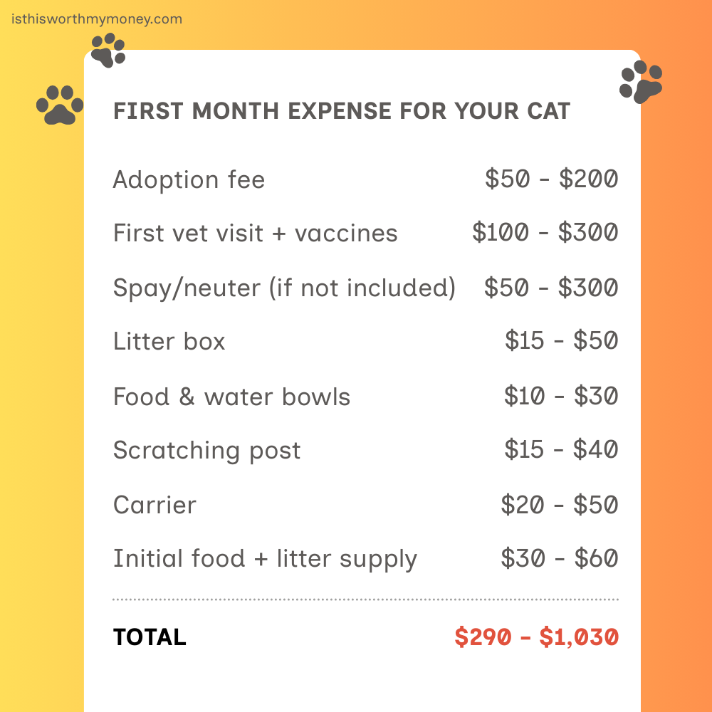 First month expenses